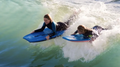 Bodyboards